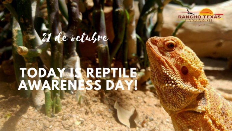 Today is Reptile Awareness day!