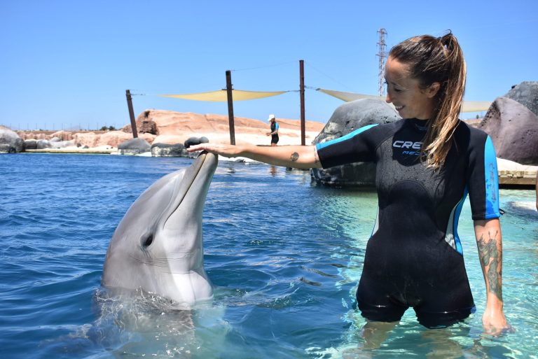 Swimming with Dolphins in Lanzarote