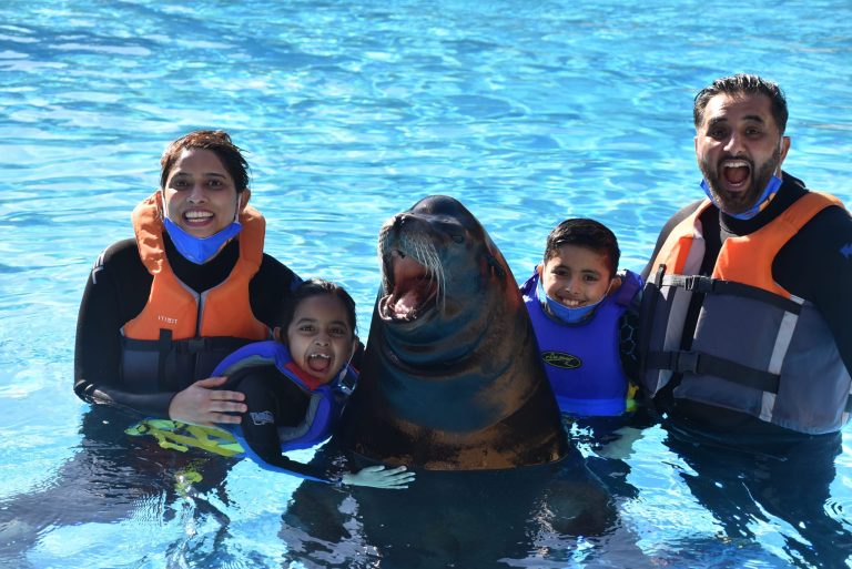 What does my sea lion interaction ticket include and what can I do?